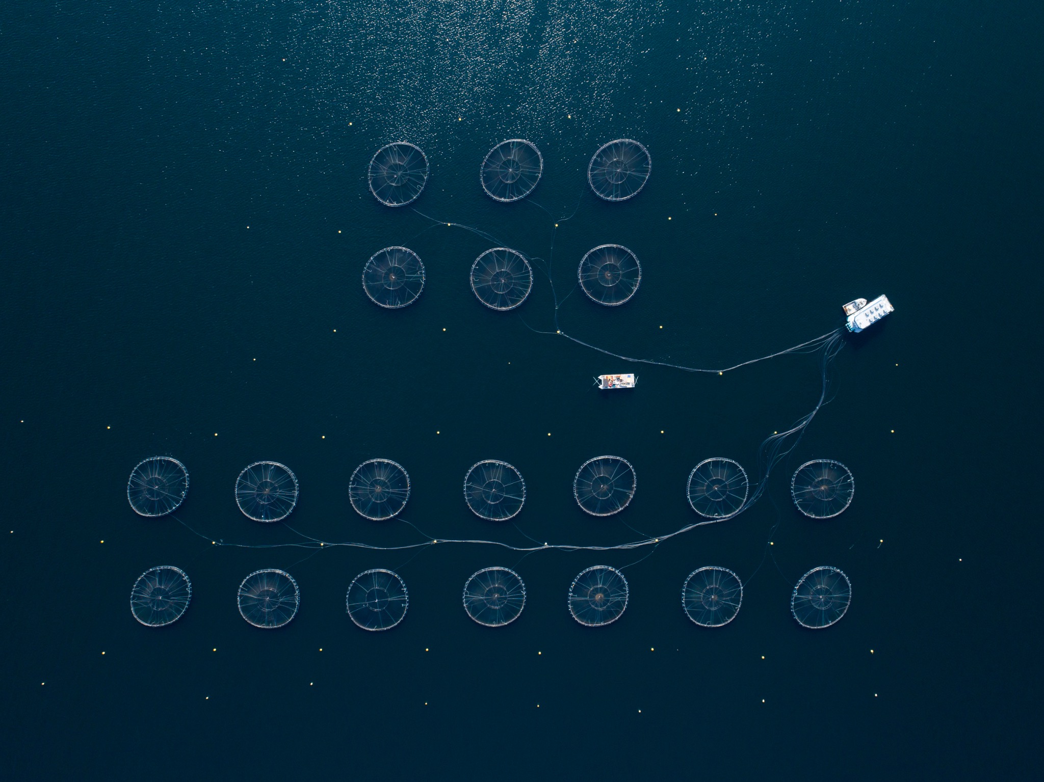 BioSecure research