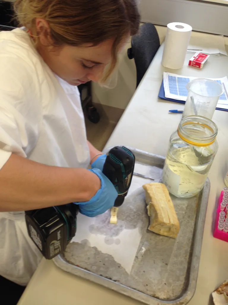 Danielle Davenport conducting laboratory work