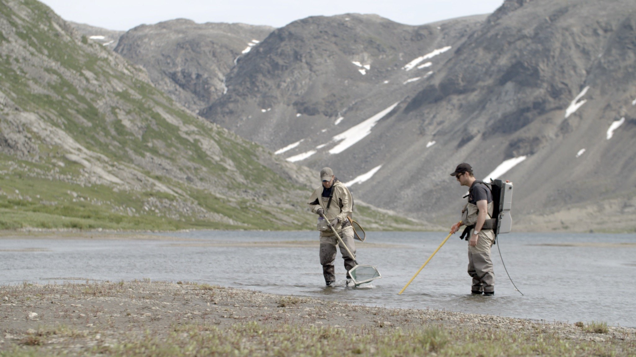 Two researchers electrofishing in a northern river