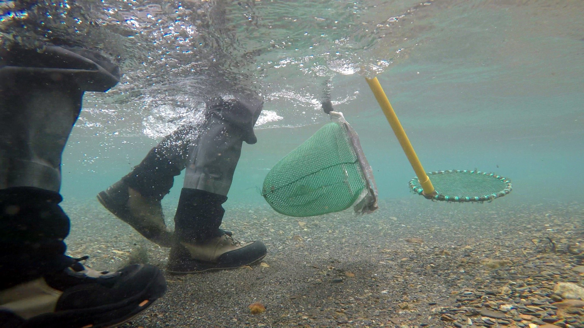 Underwater view of field sampling nets in a river