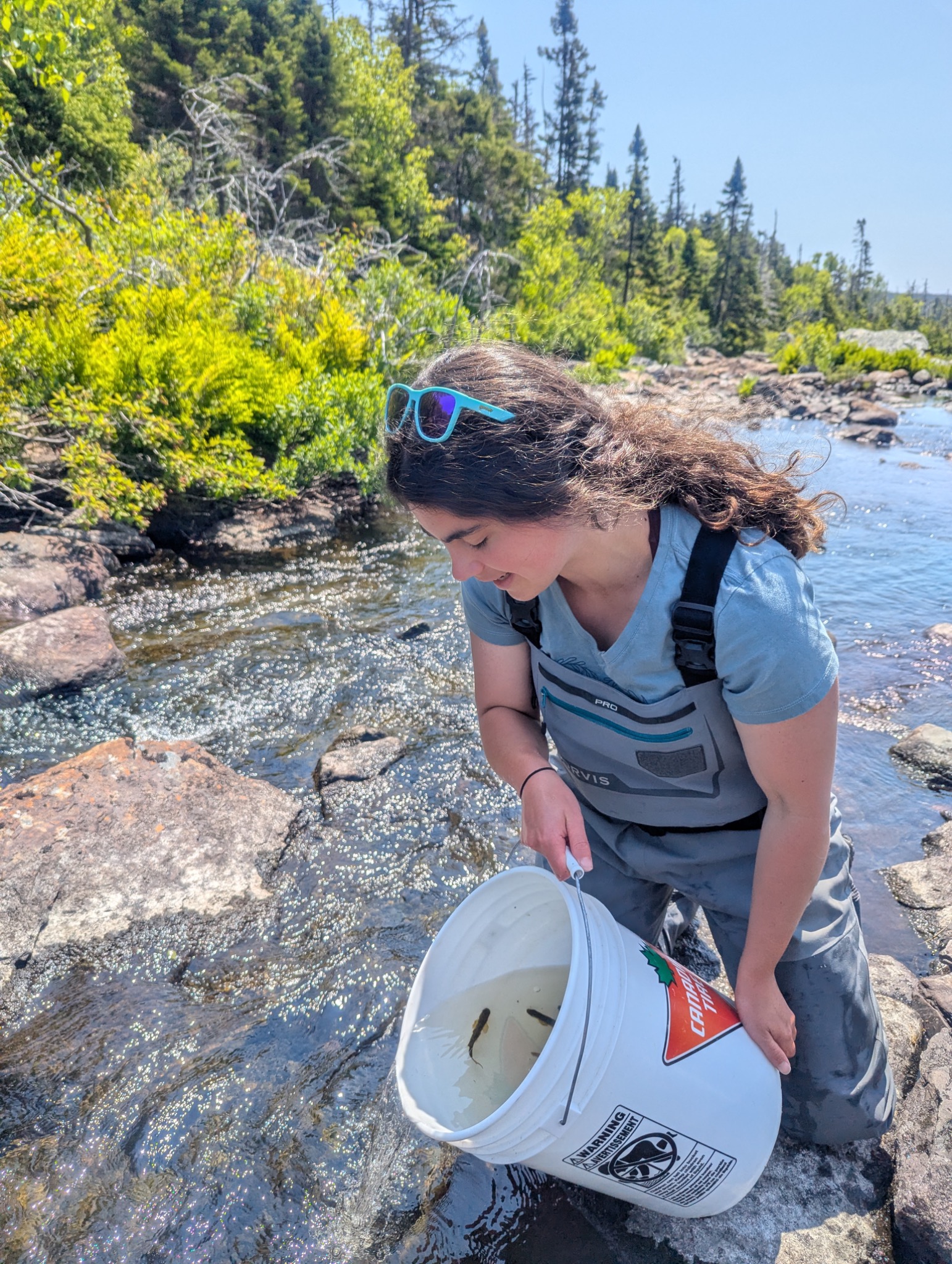 Hallie Arno conducting field research in a river
