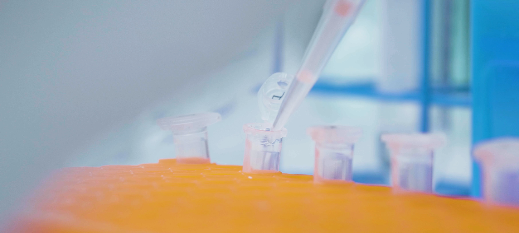 Molecular laboratory sample processing