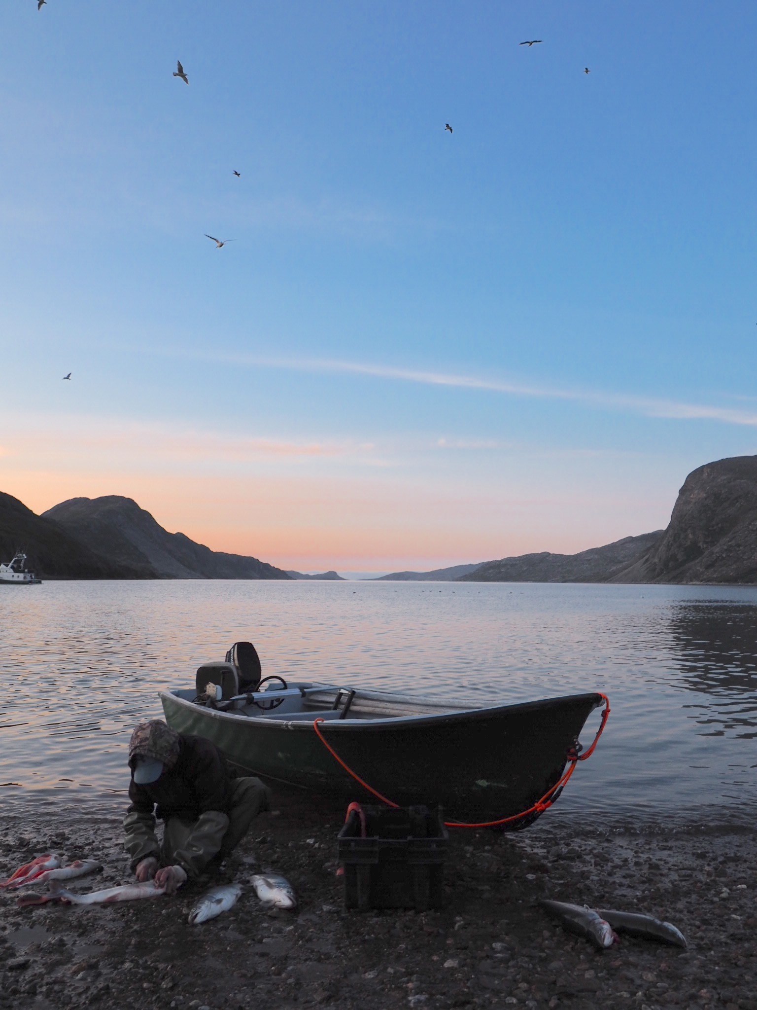 Arctic Charr research