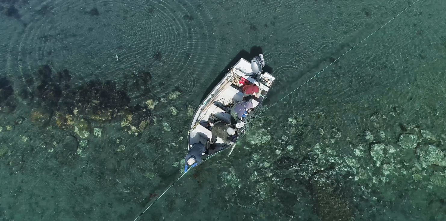 Aerial view of boat-based aquatic sampling