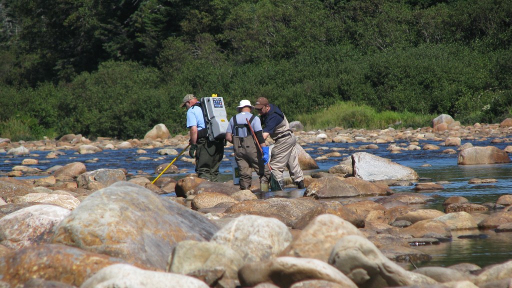 Electrofishing along a river