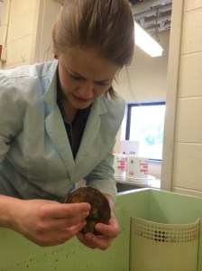 Mallory Van Wyngaarden