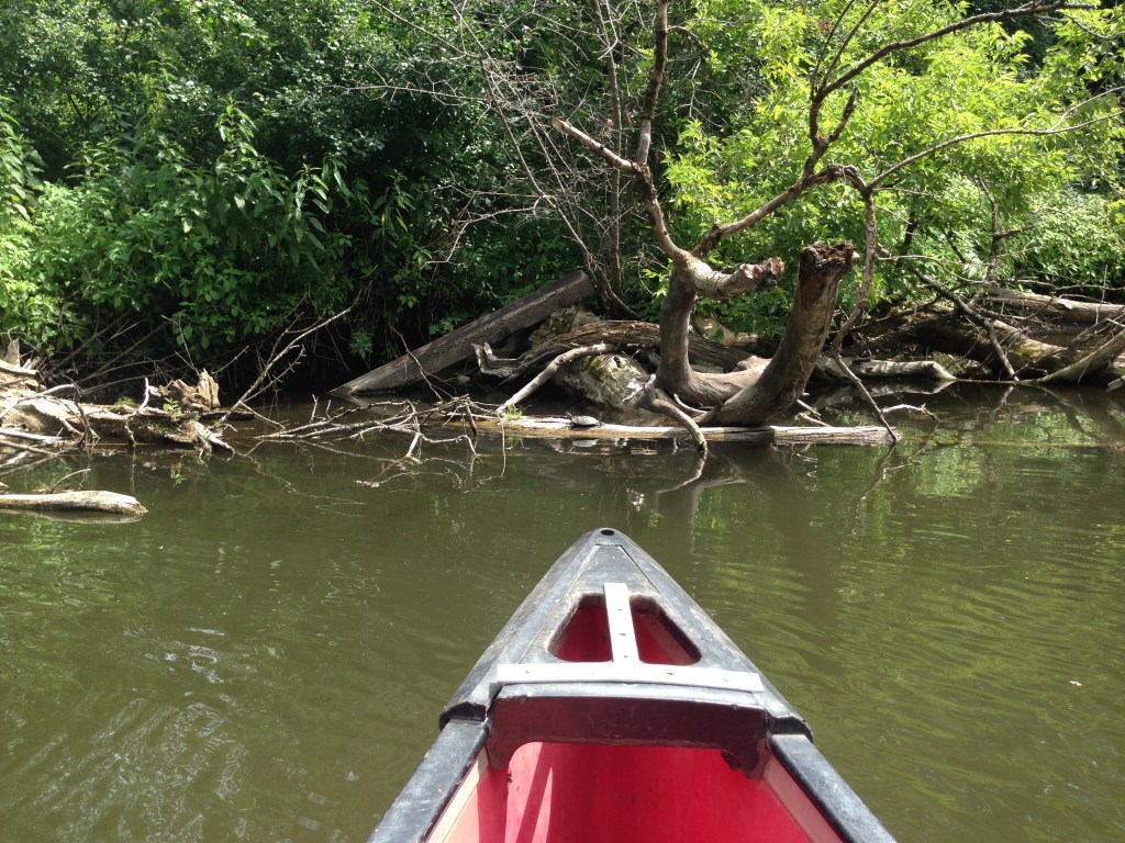 Canadian Society for Ecology and Evolution&nbsp;2018